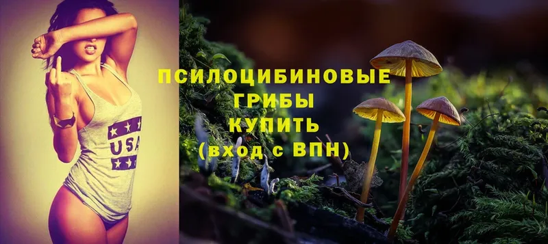 Псилоцибиновые грибы Magic Shrooms  даркнет сайт  мега вход  Рыбное 